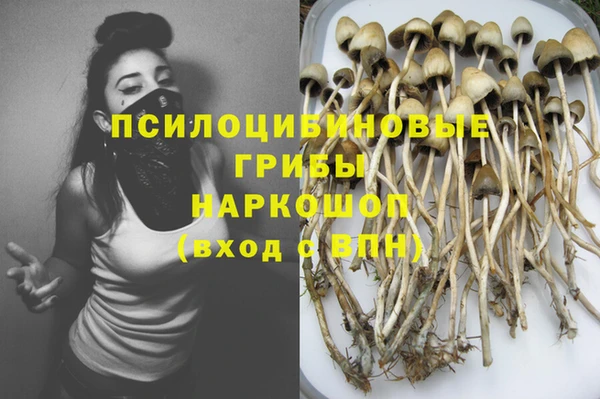 кокс Алексеевка